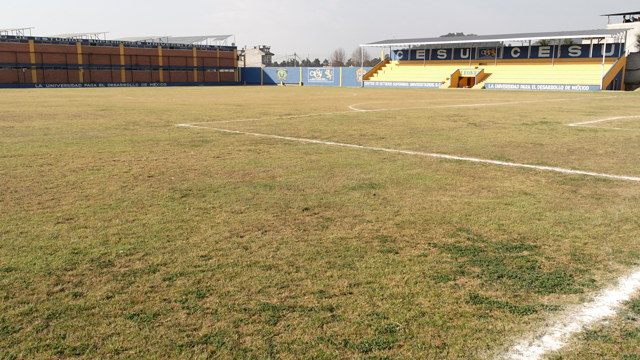 Here comes a description